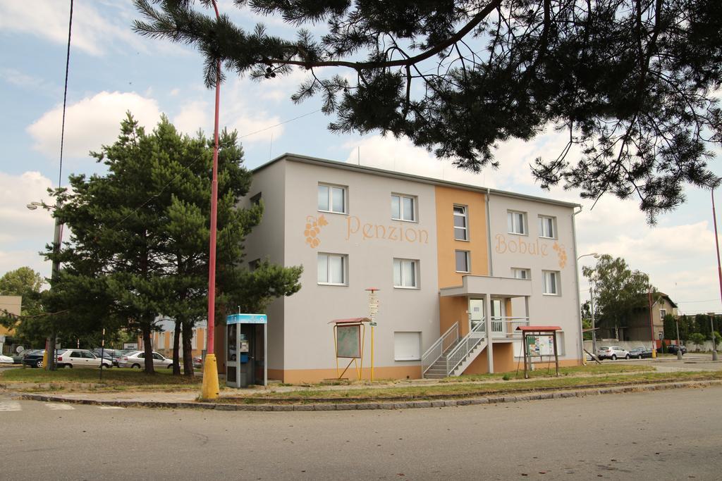 Penzion Bobule Stare Mesto  Εξωτερικό φωτογραφία